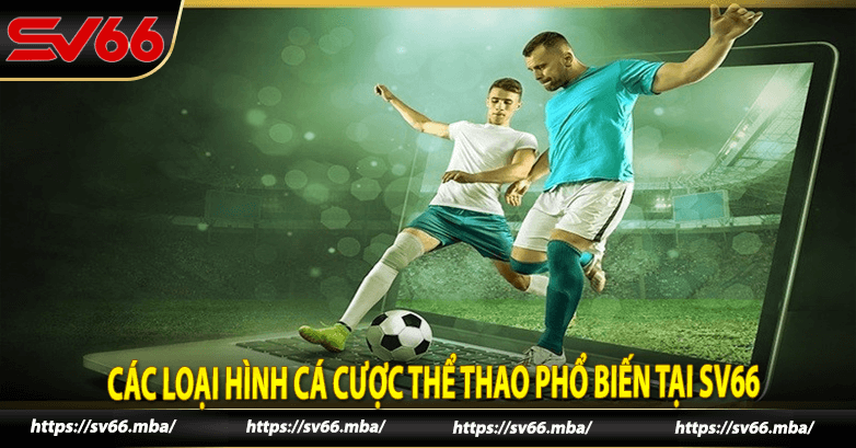 Các loại hình cá cược thể thao phổ biến tại sv66